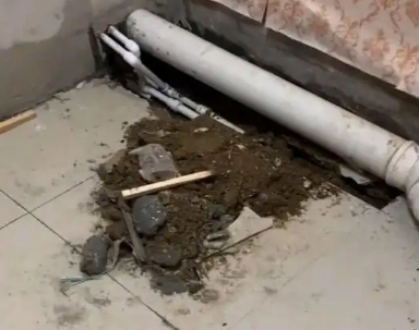 宁江卫生间漏水检测哪家好